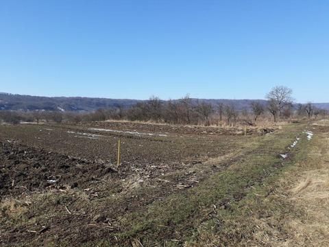 Teren Voinești