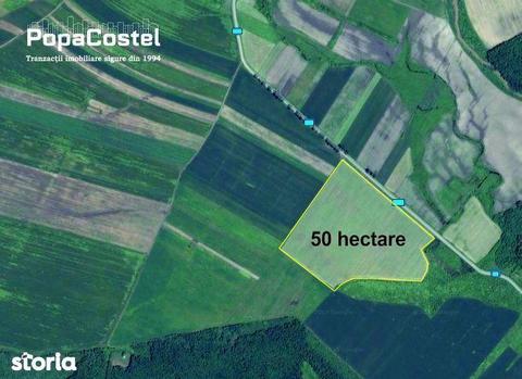 Judetul  50 hectare teren agricol, asfalt, retea medie tensiune