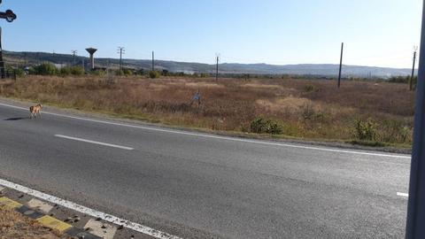 Teren de vânzare 8000mp ,sens giratoriu E70 cu DN67
