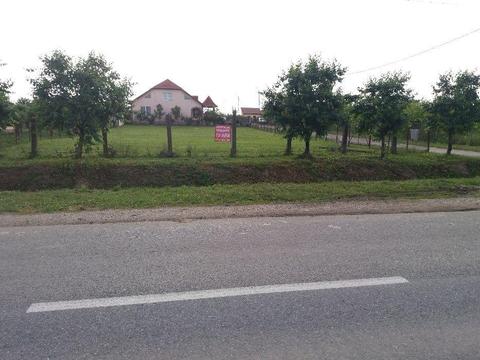 Teren Vetis intravilan 10 Arii