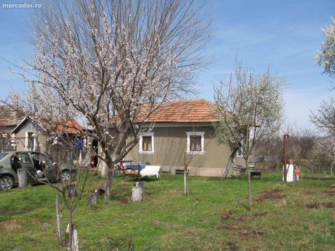 Casa cu teren sat Crivina