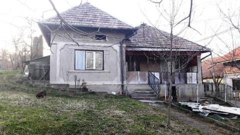 Casa de vanzare cu gradina