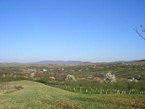 Terenuri