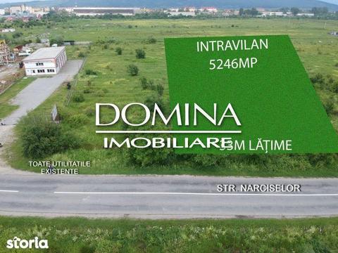 Vanzare teren intravilan situat in , strada Narciselor