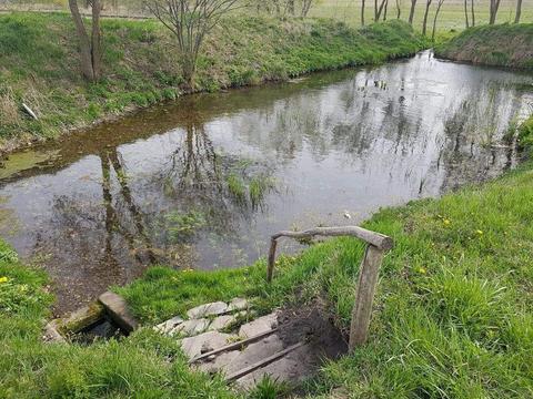 Teren 10.000 mp2 Fântână Mare