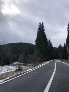 Teren obirsia lotrului Transalpina Sky