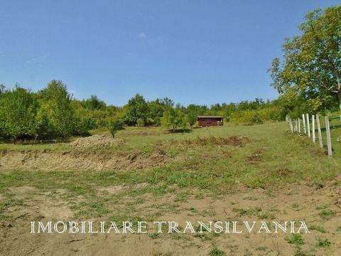 Teren 600 mp, intravilan, Zona Valea Budacului