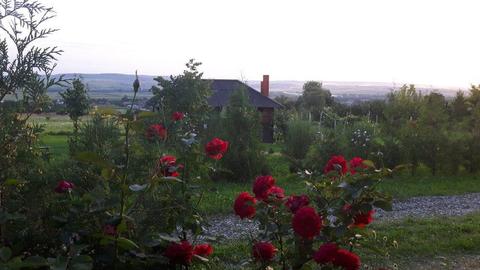 Vând teren pentru cabana sau casa