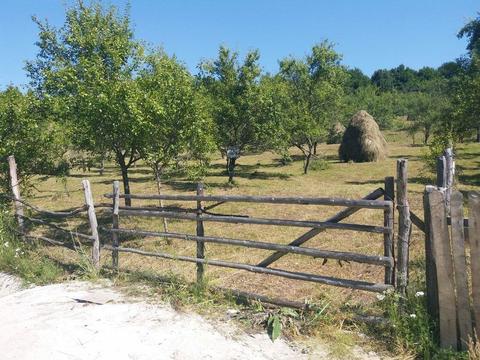 Vând teren situat în com. Corbi,AG sau schimb cu teren în