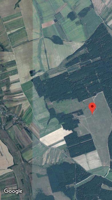 Teren agricol 2 ha