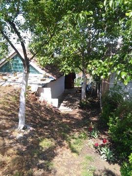 Vie cui livada de vanzare - spatiu de relaxare intravilan