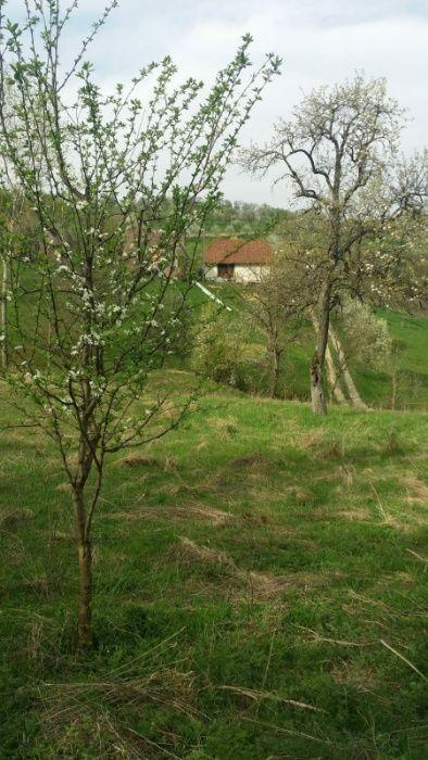 Vând 40 ar teren, intravilan, ideal relaxare/casă de vacanță/pensiune