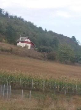 Casă de vacanță/ cabană cu teren în Bărdești