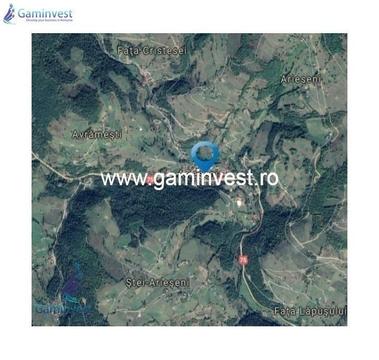 GAMINVEST - De vanzare teren extravilan in Arieseni,  V1555