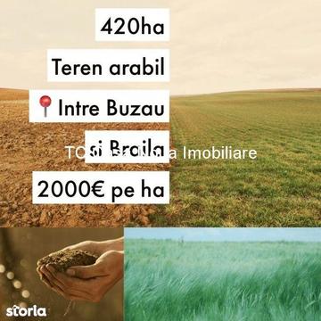 Vanzari Terenuri Buzau-/420ha