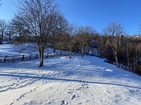 3500 mp, zona linistita, teren INTRAVILAN la munte Moeciu-Bran