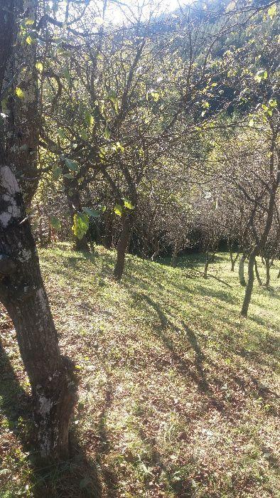 Terenuri intavilane in comuna Gura teghii jud buzau