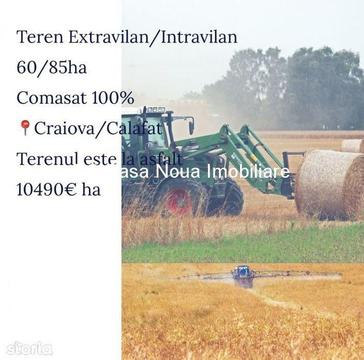 Terenuri Craiova/60-85ha/Comasare100%/La asfalt/Extravilan-Intravilan