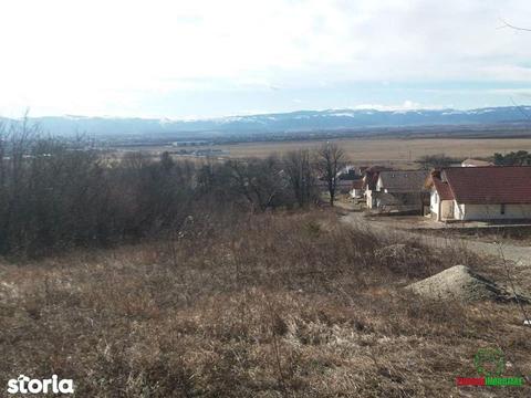 Teren intravilan 5460 mp de vanzare in Viile lui