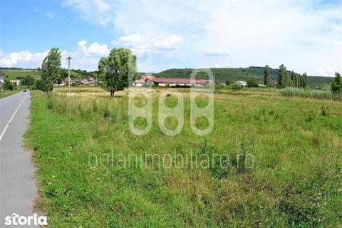 Teren 12.600 mp ideal investitii Viile lui