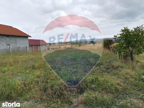 Vanzare teren 5000 mp | Oportunitate investitie | COMISION 0%