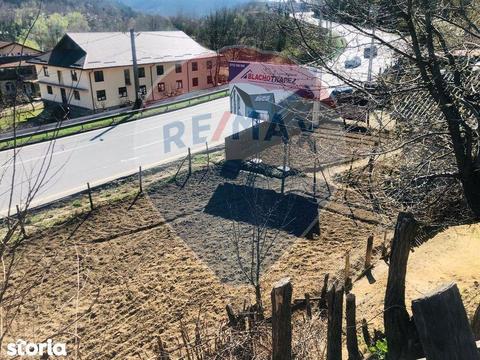 Teren Bujoreni | 6086 mp | Intravilan | Comision 0%