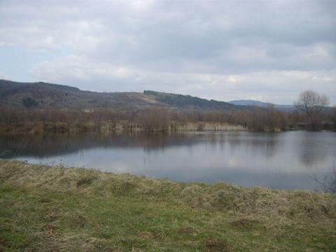 Teren cu lac de pescuit langa Alesd