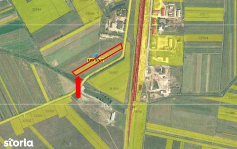 Teren intravilan in suprafata de 5000 mp in