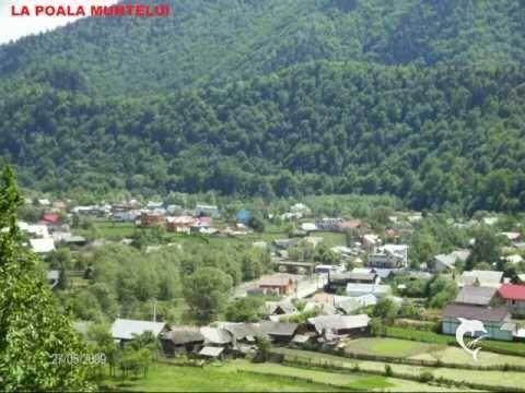 Vand teren Lepșa
