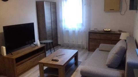 Ofer spre inchiriere apartament cu o camera