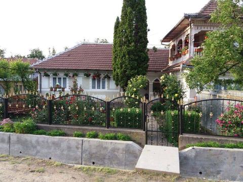 Vand casa 8 camere