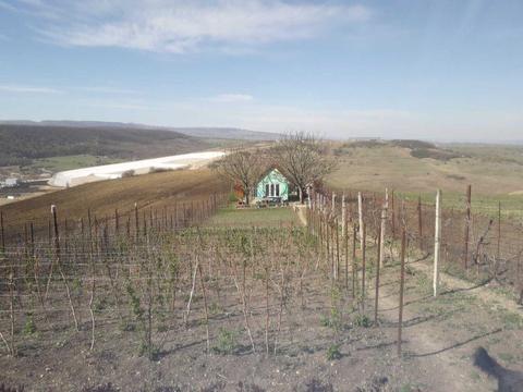 Vand teren cu livada in Dezmir, 2000mp