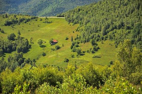 Vand teren in localitatea Plopi (Valea Ierii)