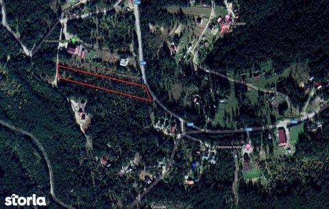 Vând teren intravilan Muntele Băișorii 6000 m²