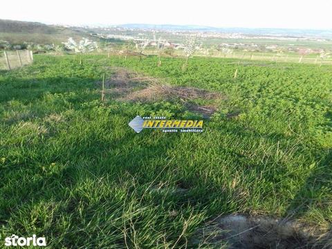 De vanzare parcela de teren extravilan in Alba Iulia loc Paclisa