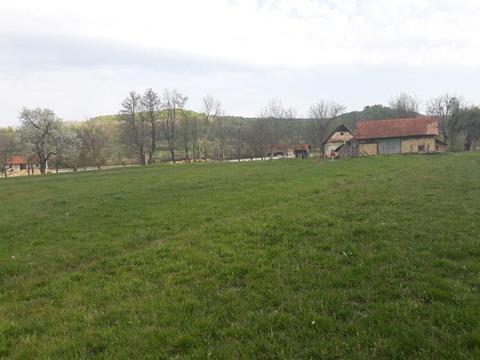 Vând teren+casă bătrânească la țară in Bihor