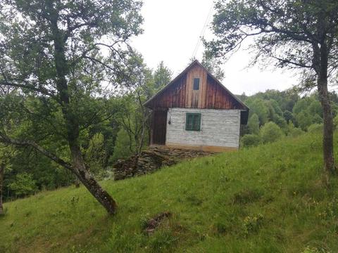 Vând casă/Casă de vacanță