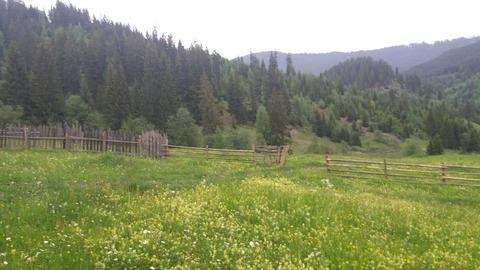 Închiriez CASA DE VACANTA în Bucovina