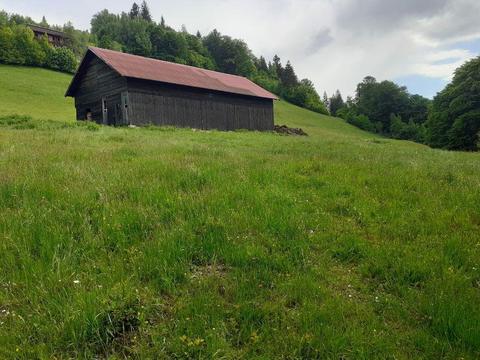 Vand teren intravilan zona Bran