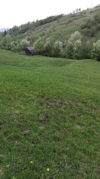 Teren intravilan de vanzare