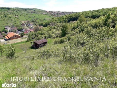 Teren INTRAVILAN, 1500 mp, Valea Budacului, Bistrita