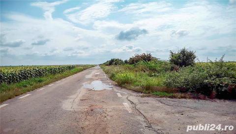 2 loturi teren extravilan agricol in Adunatii Copaceni, Giurgiu