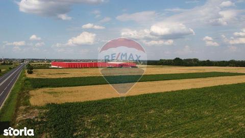 Teren 15,320mp iesire din Golesti E85
