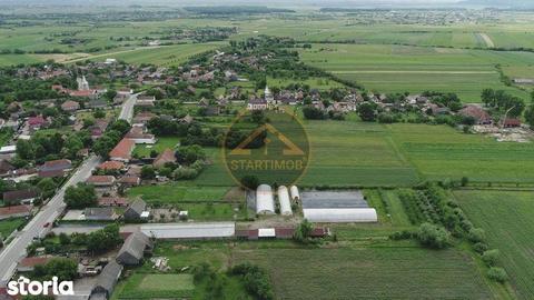 Teren 8364 mp cu sere si livada la doar 20 km de Brasov