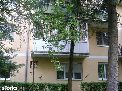 Apartament 3 camere Drumul Careiului,etaj 1