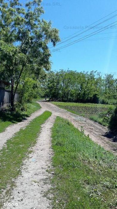 TEREN, CONSTRUCTIE - casa de locuit si anexe, Dangeni, Botos