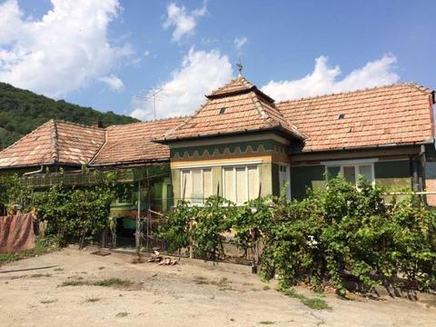 Vand urgent casa cu gradina, 3200 mp