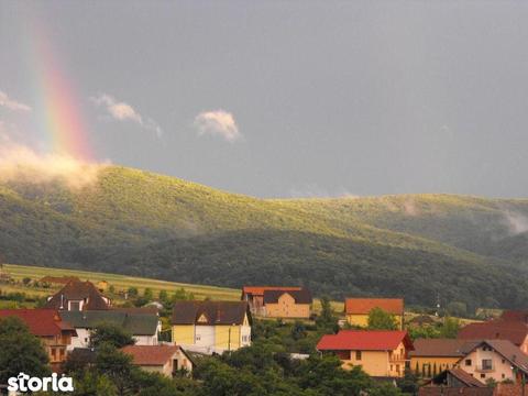 Casa intr-o zona minunata, curte frumos amenajata, Bradet