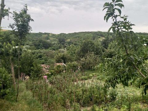 Casa cu teren in sat Obarseni, com. Vinderei