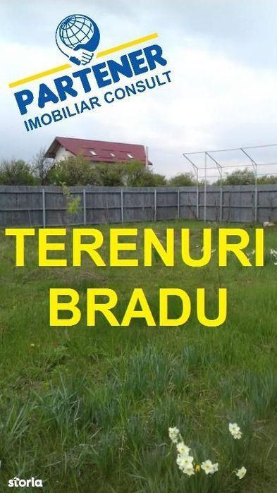 Terenuri Bradu, diverse suprafete